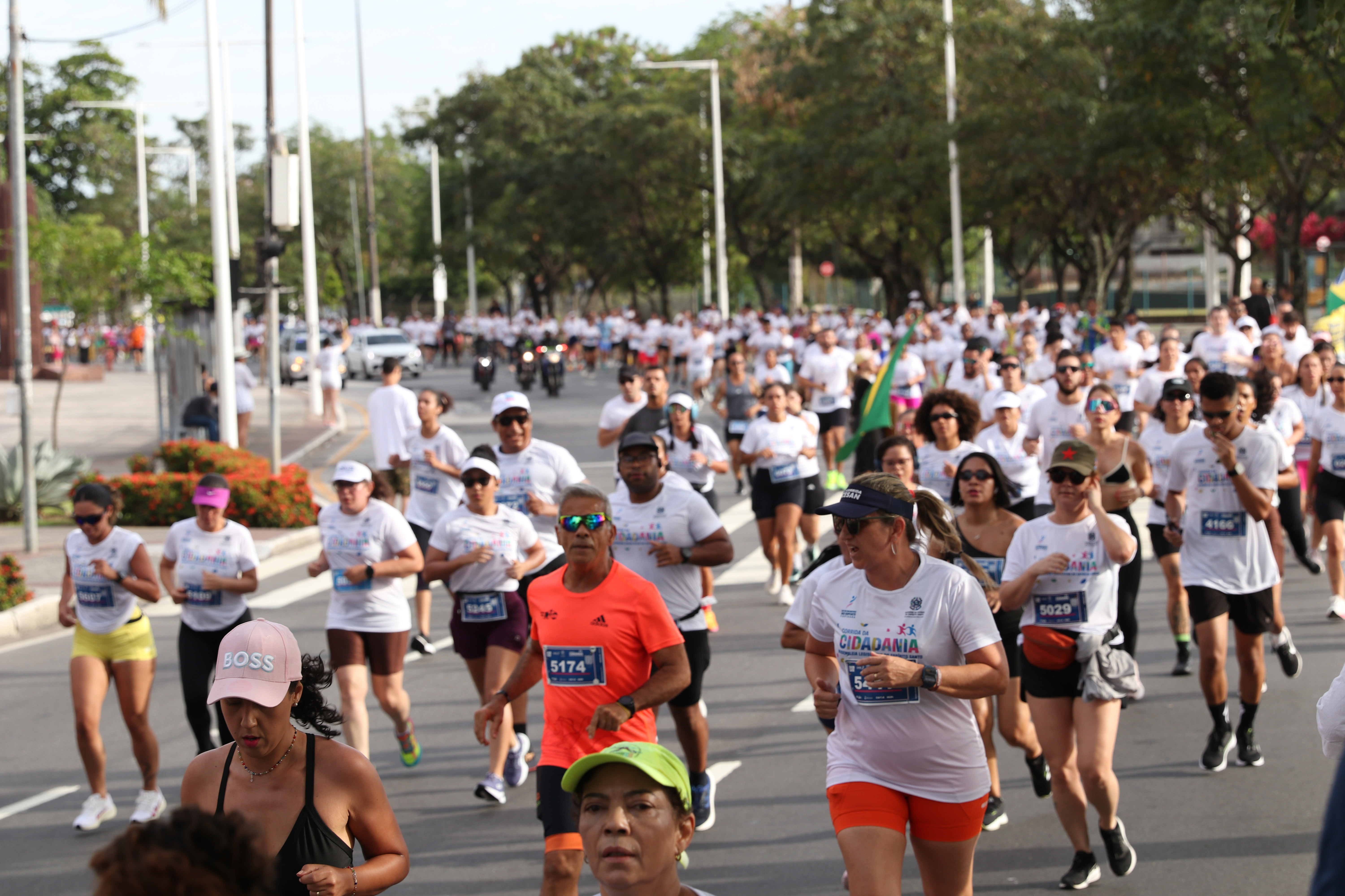 54941817555_08a0f38e13_o|||Fotógrafo:Paula Ferreira